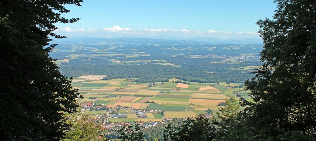 Mittelland Niederbipp Herzogenbuchsee.jpg